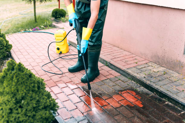 Best Dumpster Area Cleaning  in Gowanda, NY